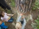 Hier noch einmal ein Malbaum - sogar festgeklebte Wildschweinhaare konnten wir dort finden! Spurenlesen…¦