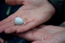 Von welchem Vogel wird das zart hellblaue Ei wohl stammen?
